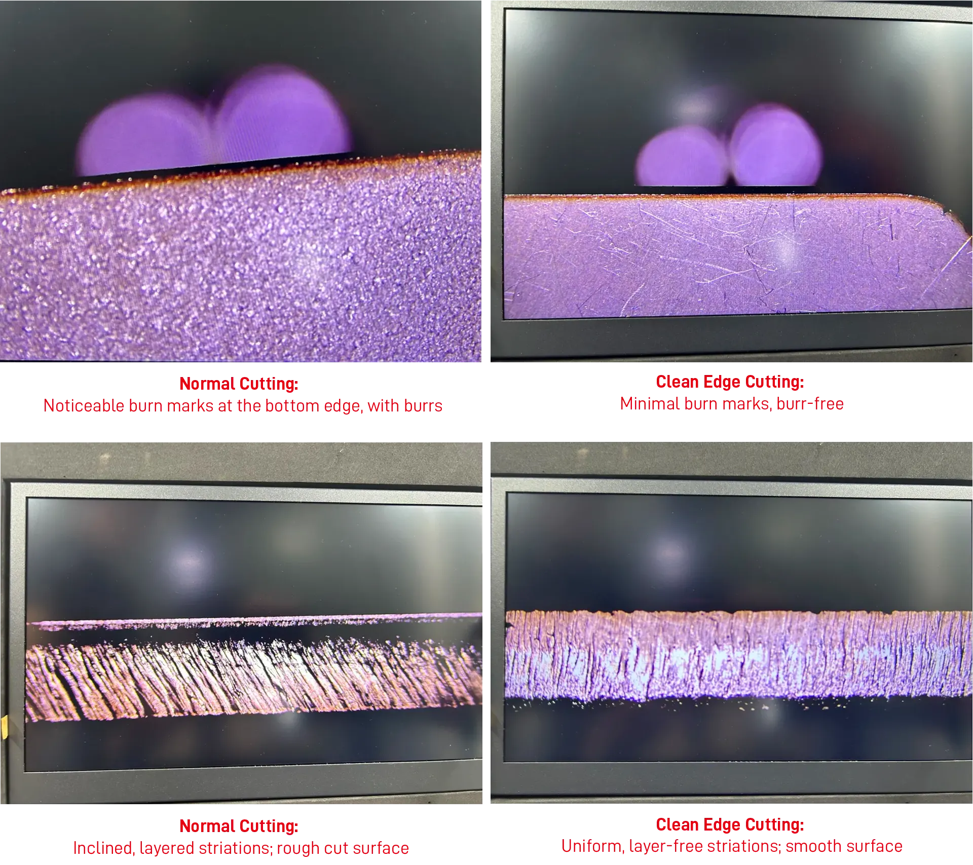 Stainless Steel (Microscopic View)